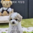 야옹아 멍멍해봐 계림점 이미지
