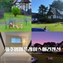 멍멍플레이스펜션 이미지