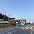 일산해수욕장8(수산물판매센터근처) | 봄 제철음식 당진 장고항 수산물유통시장 슬기네 (실치회 귀꼴뚜기 쭈꾸미샤브샤브까지)