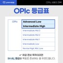 새아리농장 | 할일이 많을때 어떻게 하시나요?