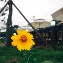 [충청남도 즉흥여름여행]6) 백리포 산과바다사이 펜션 후기 추천