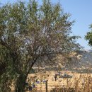 삼보사길 이미지