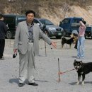 진도개영농조합 이미지