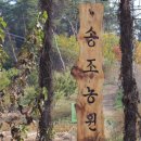 칠갑산흑염소식당
