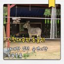 인천대공원(정문) | 인천대공원 동물원 재개장 맞춰 다녀온 후기