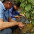 덕화농장 이미지