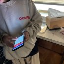 유명산목장 이미지