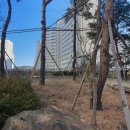 소나무병원 이미지