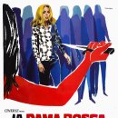 DAMA 이미지