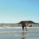낭만 - 화성시 상신하길로135번길 6-14 | 낭만