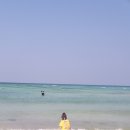 제주여행(동부권, 제주숙소, 세화해변 여행 시 참고할 만것들)