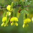 연화농장 이미지