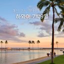 하와이 여행 7박 9일 예산 코스 액티비티 추천