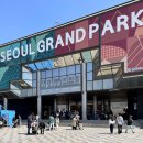 봄나들이 추천 서울대공원 매직플로우 원더파크