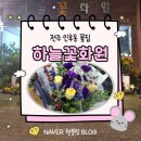 전주 하늘 | [인후동 꽃집] 하늘꽃화원 방문 후기 추천 전주 꽃배달Ⅰ전주 꽃다발 &amp; 전주 꽃배달 체험 리뷰!