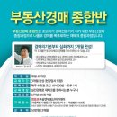 부동산 경매 입문&실전 과정 이미지