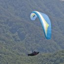 버드스쿨 이미지