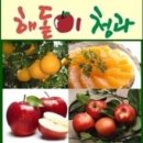 해돋이청과 - 동작구 동작대로29길 24 | 해돋이청과