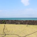 물가펜션 이미지