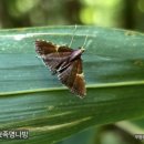 투리방