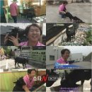 염소아저씨 농장 이미지