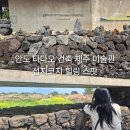 유민미술관 | 제주 유민 아르누보 미술관 후기｜안도 타다오 건축, 섭지코지 뷰 힐링 미술관