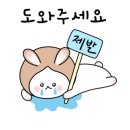 봄의 플로라 이미지