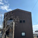 (주)에이엠호텔 | 🤍눈오는 3월의 강릉 1박2일❄️(동화가든 웨이팅, 툇마루, 번패티번후기 등)