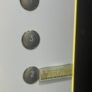 애견카페 애견유치원 펫레터 이미지