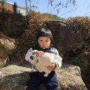 꼬마화가어린이집 이미지