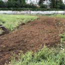 읍내9리 마을회관 이미지