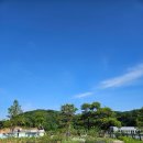 제일한방병원 이미지