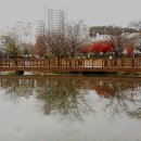 운천저수지 이미지