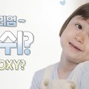 씨드푸드 네이버블로그