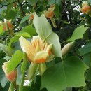 이동명 행정사 사무소 이미지