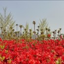 대장금마실길(4코스) 이미지