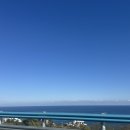 소나무 노래연습장 | 강릉여행