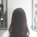 아르데 헤어