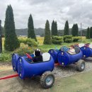 세현목장 이미지