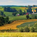 부자농장2 이미지