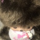 멋쟁이토마토 이미지