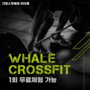 웨일 미아점 네이버블로그