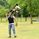 디스크독 연구소 이미지