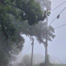 고둔치 솔가 | 안드레아의 추계 치악산둘레길 1코스 꽃밭머리길 2022-09-01