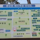 몽산포감성캠핑장 이미지