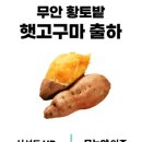 왕지농장 네이버블로그
