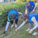 구포2동-4 이미지