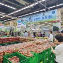 강원특판 이미지