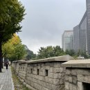 세실약국 이미지