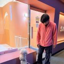 시우스쿨링 대화 | 일산애견유치원 고민 끝에 선택한 시우스쿨링 대화점 솔직 후기